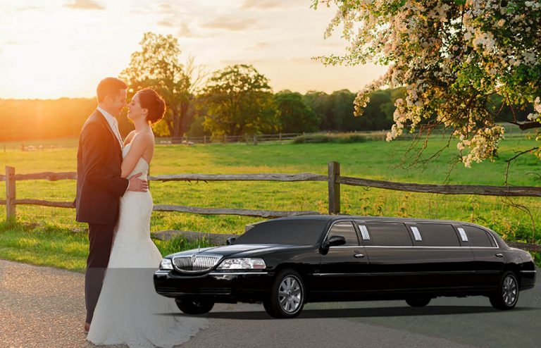 wedding lincoln limo large