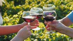 Hire a Private Car Service to Experience a Relaxing Wine Tour in Virginia