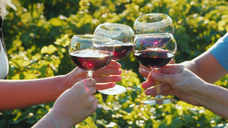 Hire a Private Car Service to Experience a Relaxing Wine Tour in Virginia