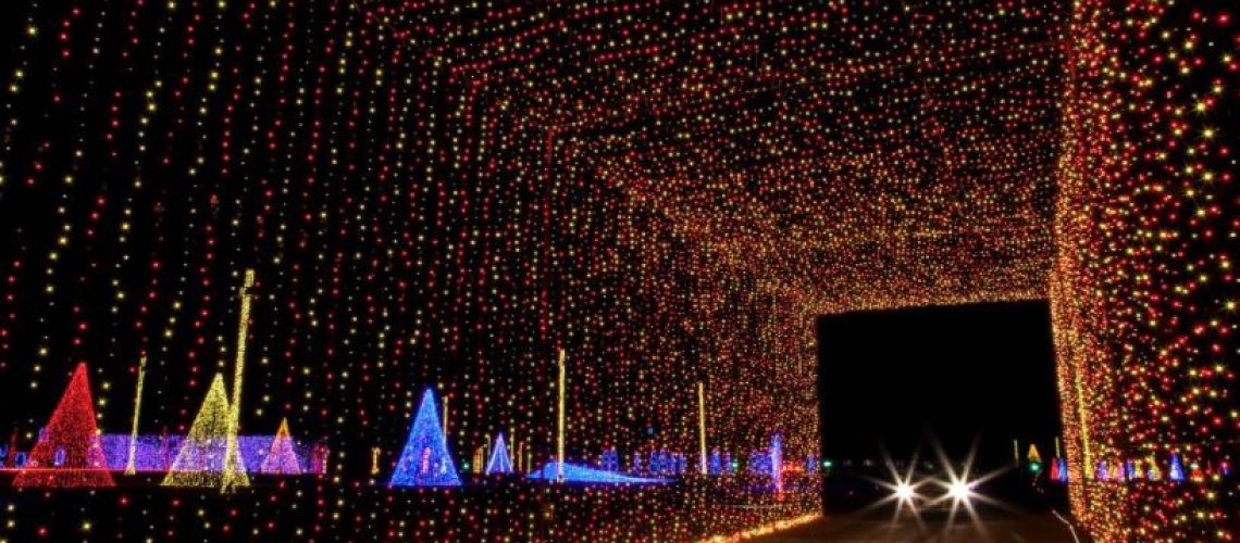 holiday lights tour with a private chauffeur